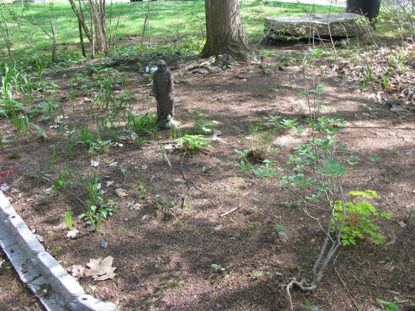 Drought landscaping in Brookfield, Elm Grove WI