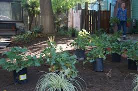 Fall landscape planting in Brookfield, Elm Grove WI