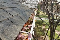 Gutter cleaning in Brookfield and Elm Grove, WI