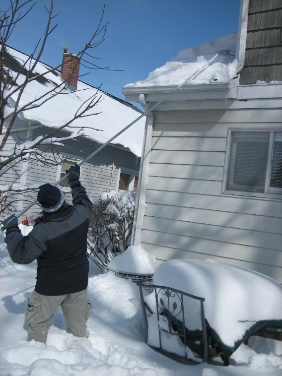 Roof raking in Brookfield, WI