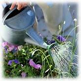 Watering landscaping in Brookfield, Elm Grove WI